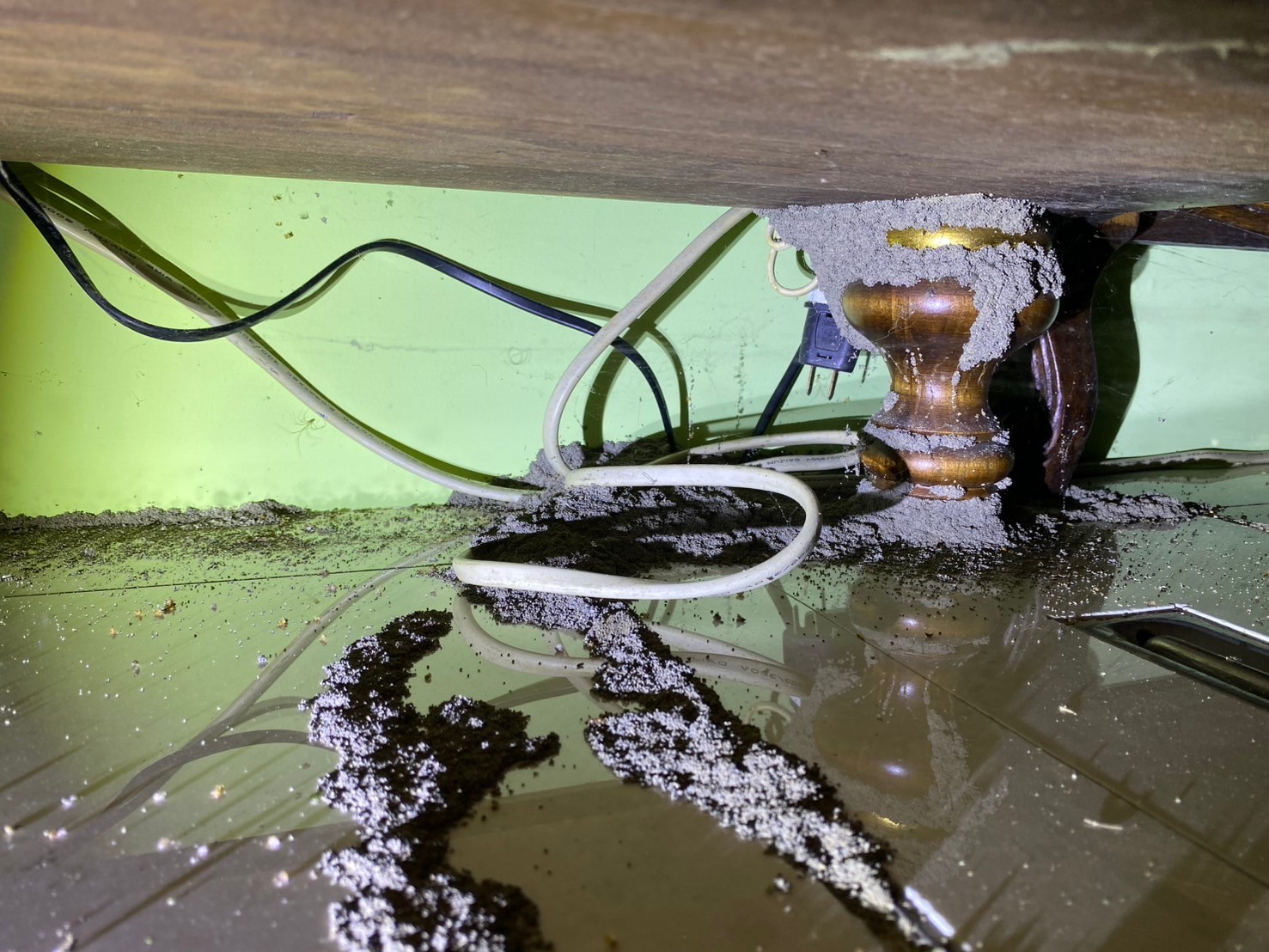 Ho消毒有限公司的實際案例圖片